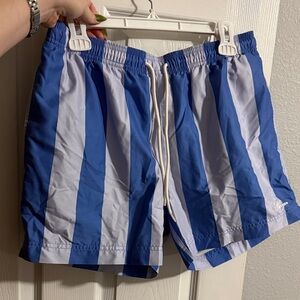 PacSun Blue and Light Blue Vertical Stripe Swim Trunks